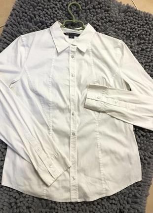 armani jedwabiu exchange,базова біла класична сорочка,40р