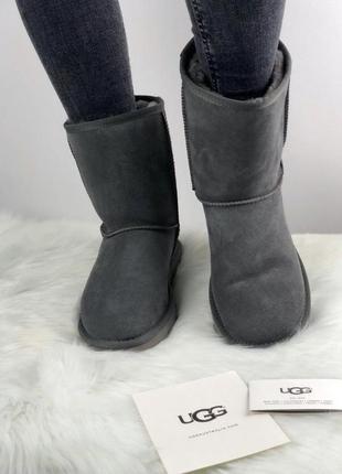 Зимние женские угги на меху ugg серые (уггі)2 фото