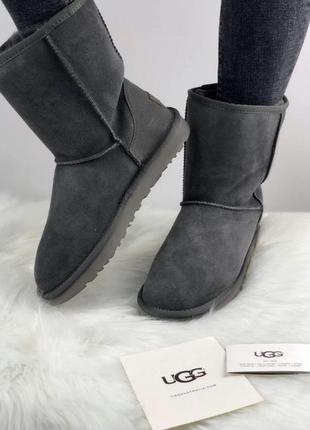 Зимние женские угги на меху ugg серые (уггі)1 фото