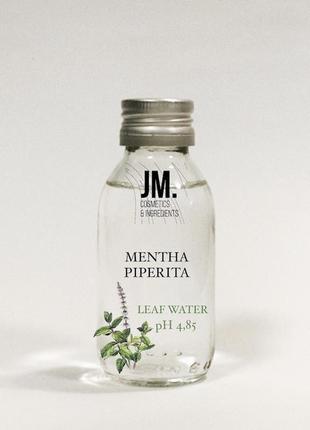Гидролат мяты mentha piperita (peppermint) leaf water 100 ml ph 4,85