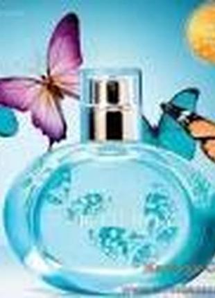 Beautiful butterfly avon