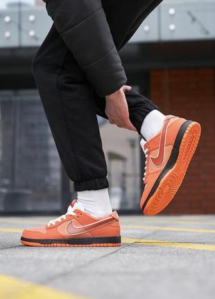 Nike sb dunk low orange lobster6 фото