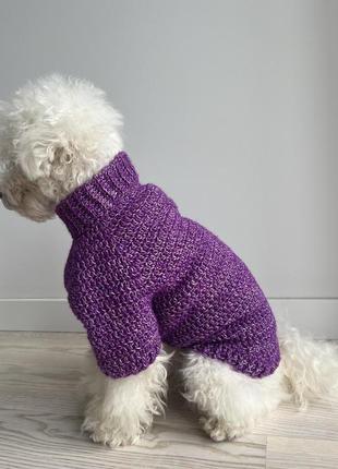 В’язаний светр для собак2 фото