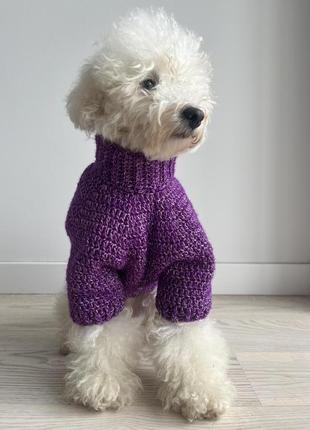 В’язаний светр для собак1 фото