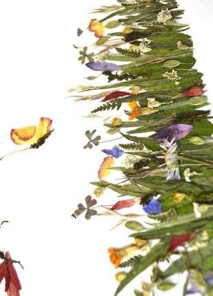Картина из прессованных цветов «луг»3 фото
