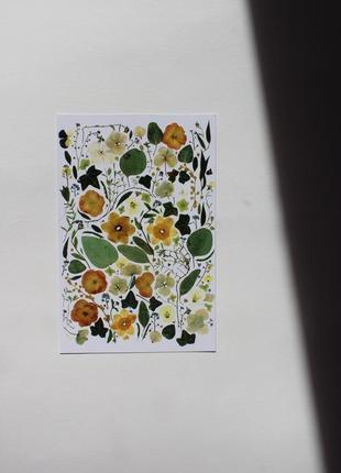 Набір листівок з ботанічним принтом6 фото