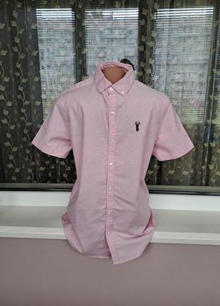 Летний набор для мальчика/шорты/рубашка с коротким рукавом3 фото
