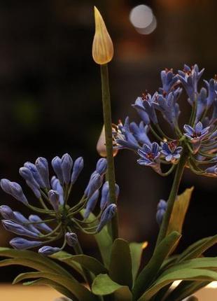 Синій квітка в глиняному горщику2 фото