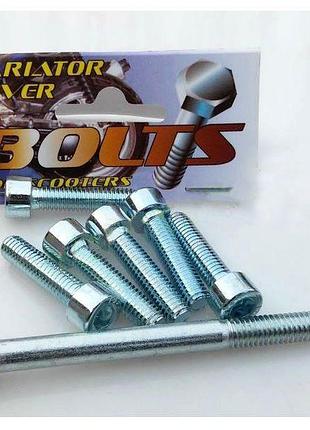 Болти кришки варіатора suzuki ad, sepia 50/100c (шестигранний ...
