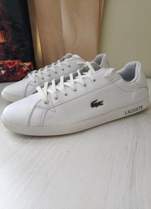 Кеди lacoste