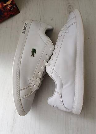 Кеди lacoste4 фото