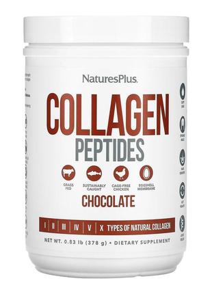 Collagen peptides - 378g chocolate