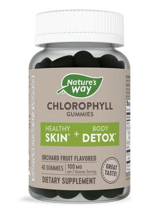 Chlorophyll gummy - 40 ct