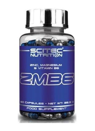 Вітаміни scitec nutrition zmb6 60 caps