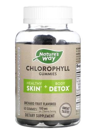 Chlorophyll gummy - 60 ct