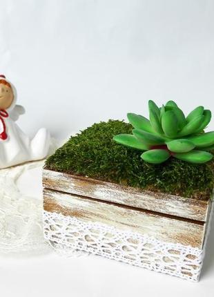 Коробочка для весільних обручок (мох і суккулент)5 фото