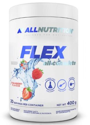 Flex all complex v2 - 400g blackcurrant
