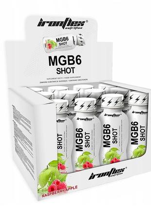 Магний + витамин в6 iron flex mg+b6 shot 12x 100 ml (apple ras...