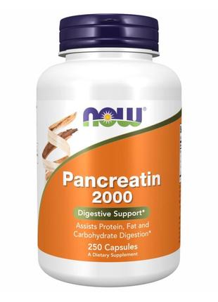 Pancreatin 2000 - 250 caps