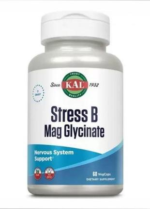 Stress b magnesium glycinate - 60 vcaps1 фото