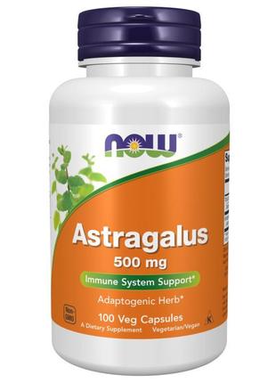 Astragalus 500 mg - 100 vcaps