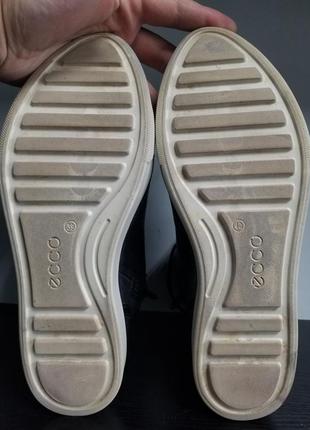 Ecco 4