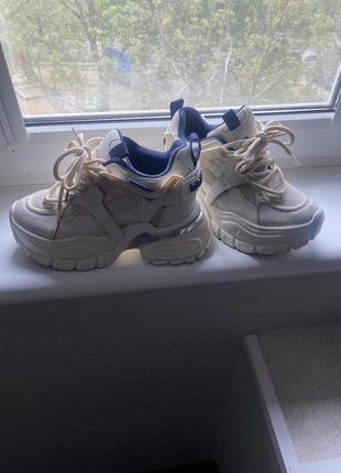 Кросівки tishelle