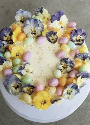 Съедобные сушеные сублимированные цветы фиалки декор для десертов5 фото