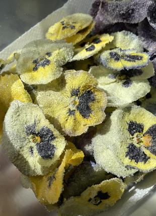 Съедобные сушеные сублимированные цветы фиалки декор для десертов9 фото