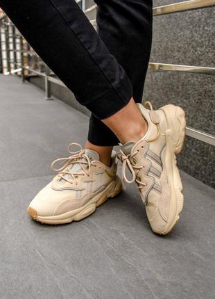 Шикарные кроссовки adidas ozweego adipren beige кросівки