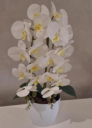 Орхидея из латекса