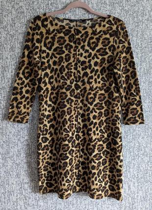 Леопардовое платье 42/s1 фото