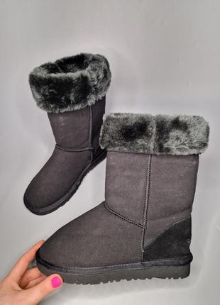 Теплые сапоги ugg