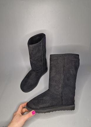 Чоботи ugg