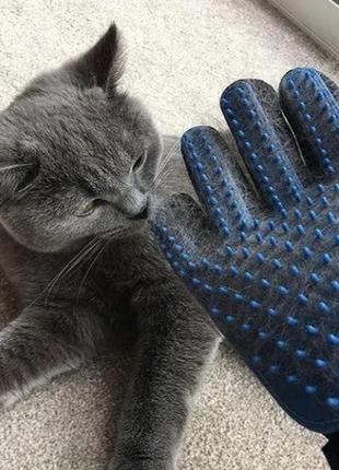 Перчатка для собак и кошек синяя для вычесывания шерсти у домашних животных true touch