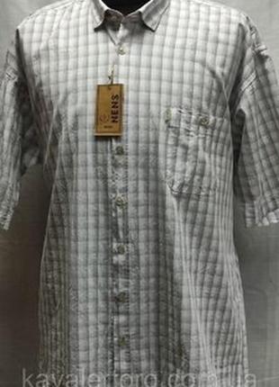 Шведка мужская nens светло-бежевая клетка, батал, 4хl-60размер