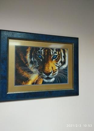 Картина вишита бісером "погляд тигра"2 фото
