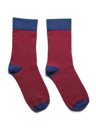 Шкарпетки чоловічі 100% бавовна жакард кольорові стильні сучасні якісніjill anthony2 фото