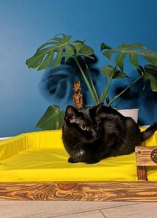 Дерев'яний лежак для кота або собаки3 фото