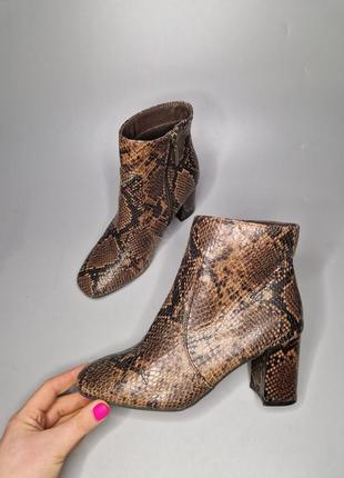 Осенние ботинки primark