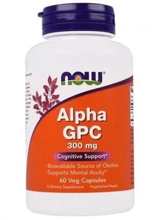 Ноотроп альфа gpc (alpha gpc)