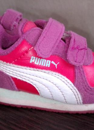 Puma 4