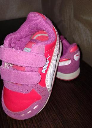 Puma 3