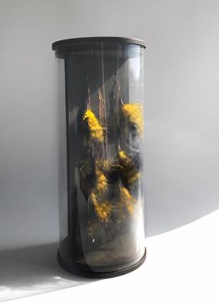 Парные серьги une abeille coquette3 фото
