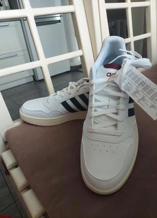 Кроссовки adidas hoops 3.0 low2 фото