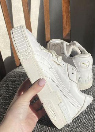 Кроссовки puma1 фото