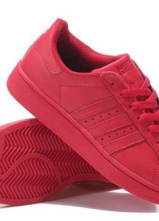 Adidas superstar supercolor pw red