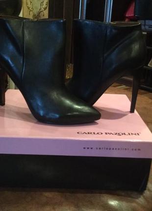 Стильні черевички carlo pazolini 41 розмір