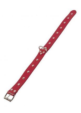 Нашийник dominant collar, red 3