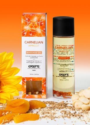 Масажна олія exsens organic massage oil carnelian apricot 100ml